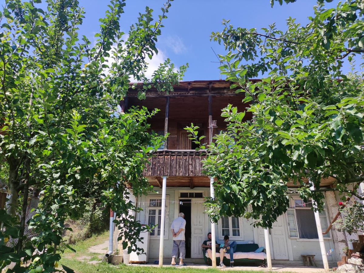 Racha Chogovadze'S Guest House Ambrolauri Buitenkant foto