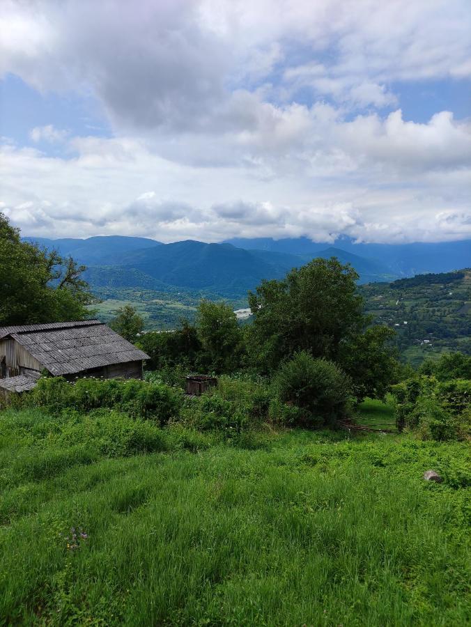 Racha Chogovadze'S Guest House Ambrolauri Buitenkant foto
