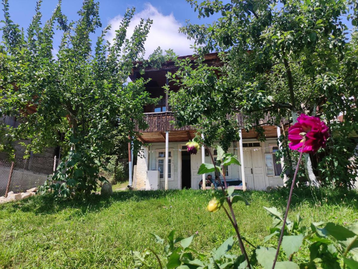 Racha Chogovadze'S Guest House Ambrolauri Buitenkant foto
